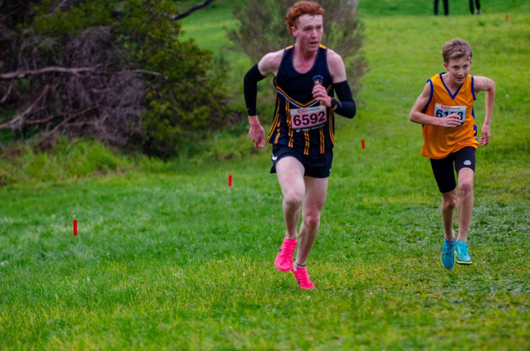 Victorian-Cross-Country-Championships-2024_9404