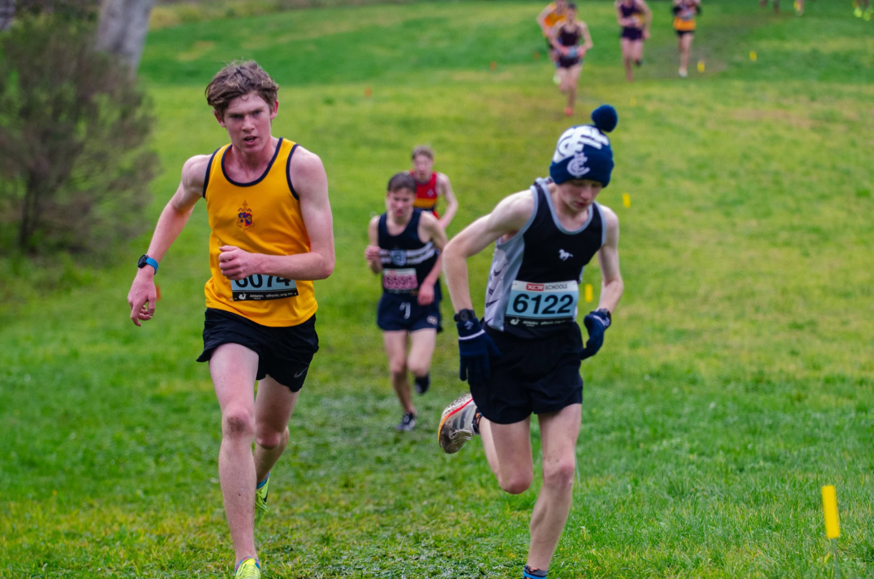 Victorian-Cross-Country-Championships-2024_9416