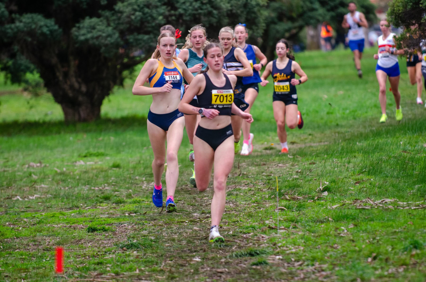 Victorian-Cross-Country-Championships-2024_9450
