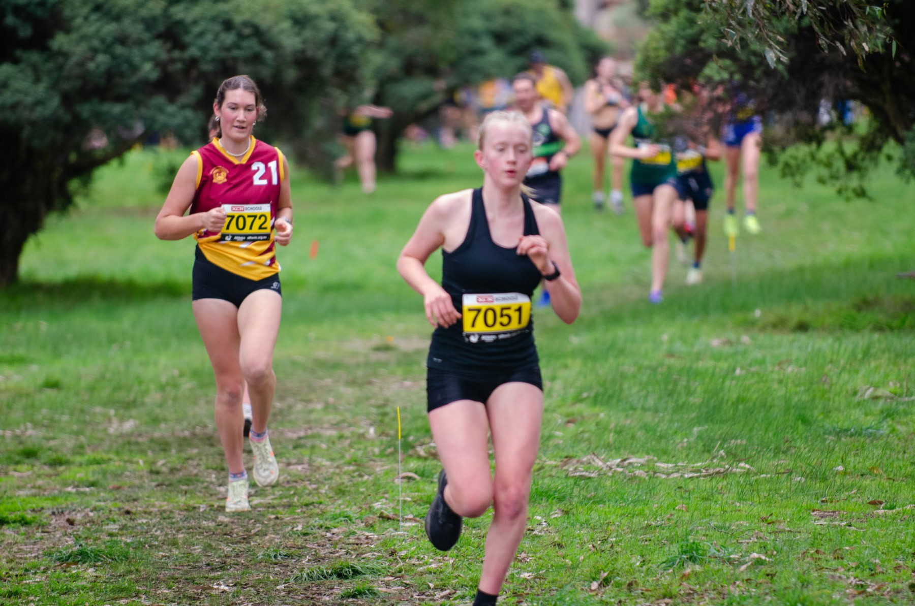 Victorian-Cross-Country-Championships-2024_9475