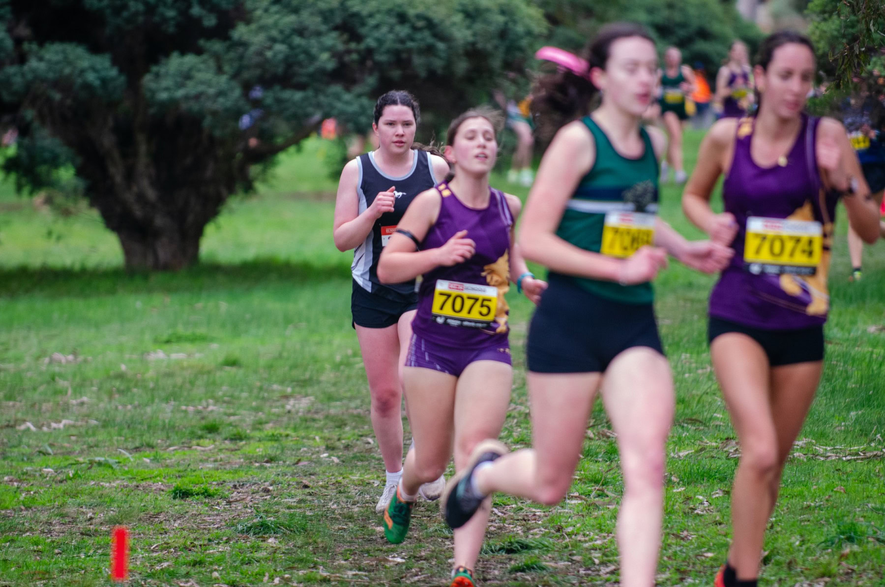 Victorian-Cross-Country-Championships-2024_9500