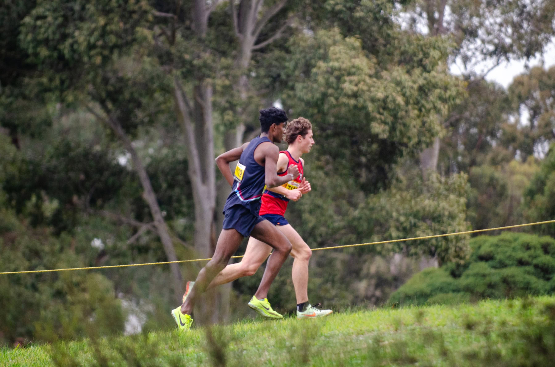 Victorian-Cross-Country-Championships-2024_9571
