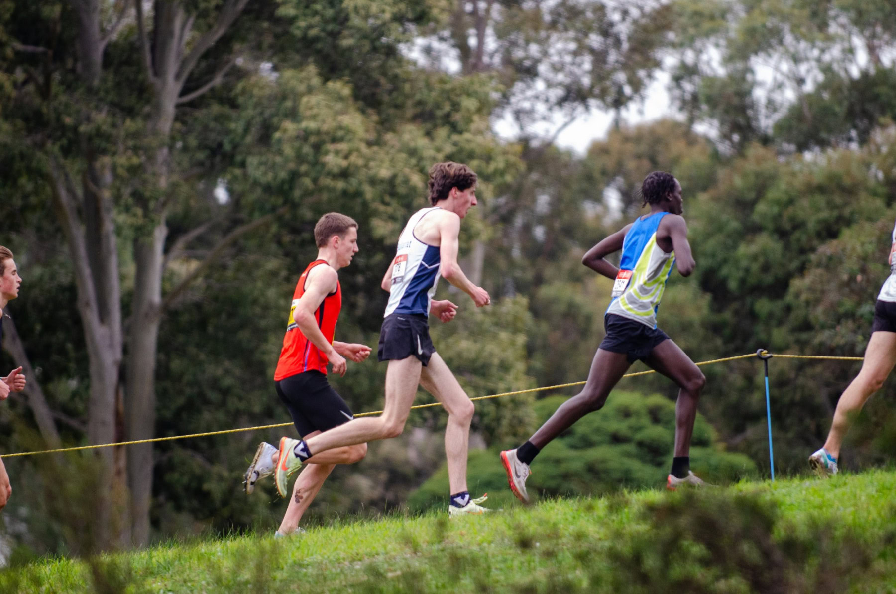 Victorian-Cross-Country-Championships-2024_9576