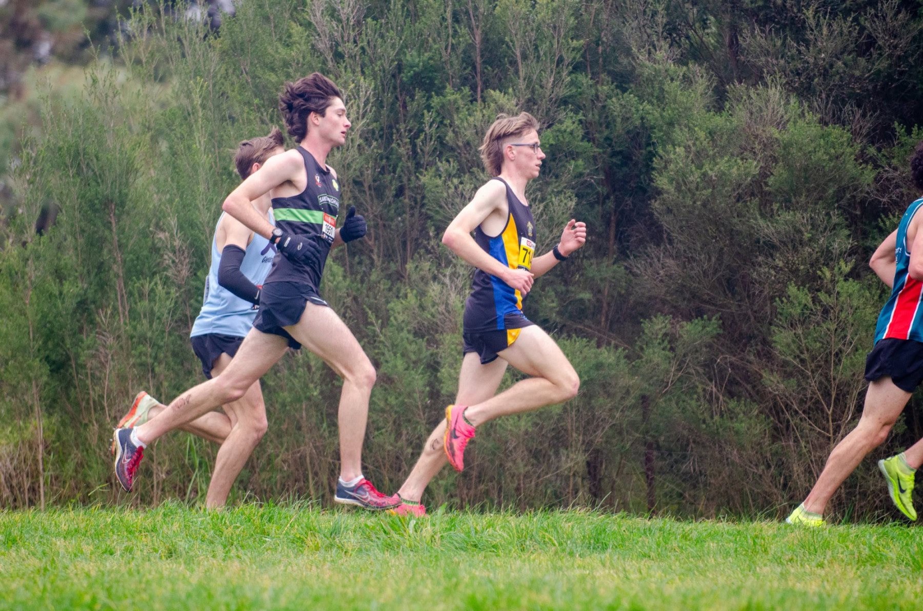 Victorian-Cross-Country-Championships-2024_9579