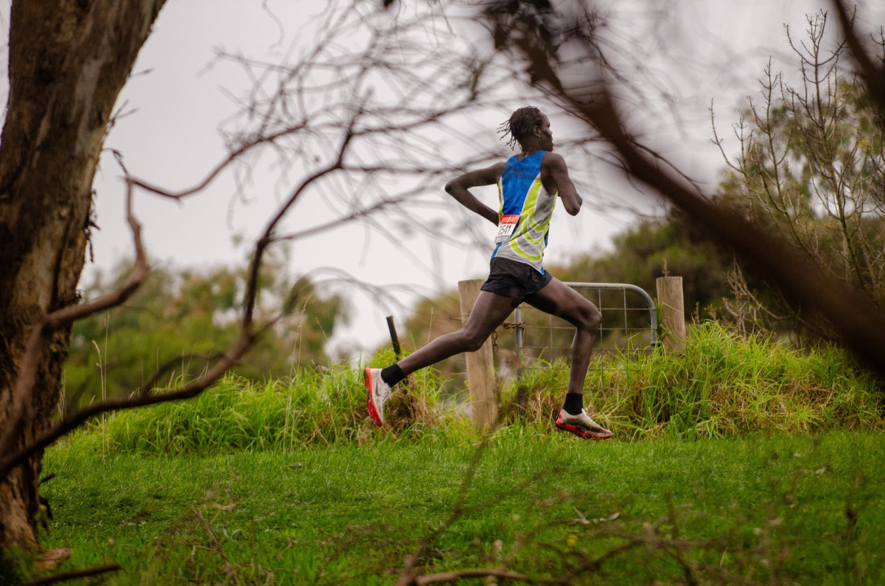 Victorian-Cross-Country-Championships-2024_9641
