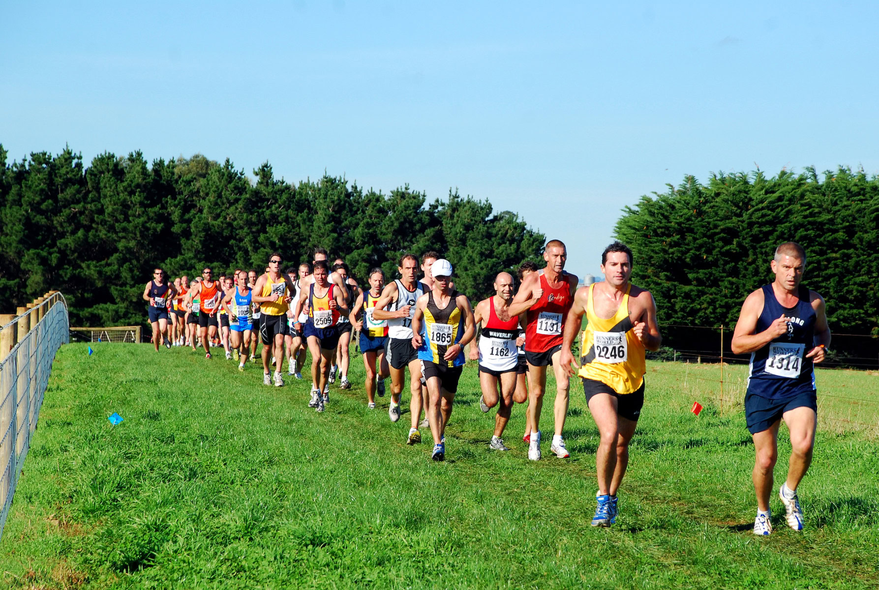 DSC_0075_4880x3278_4491430