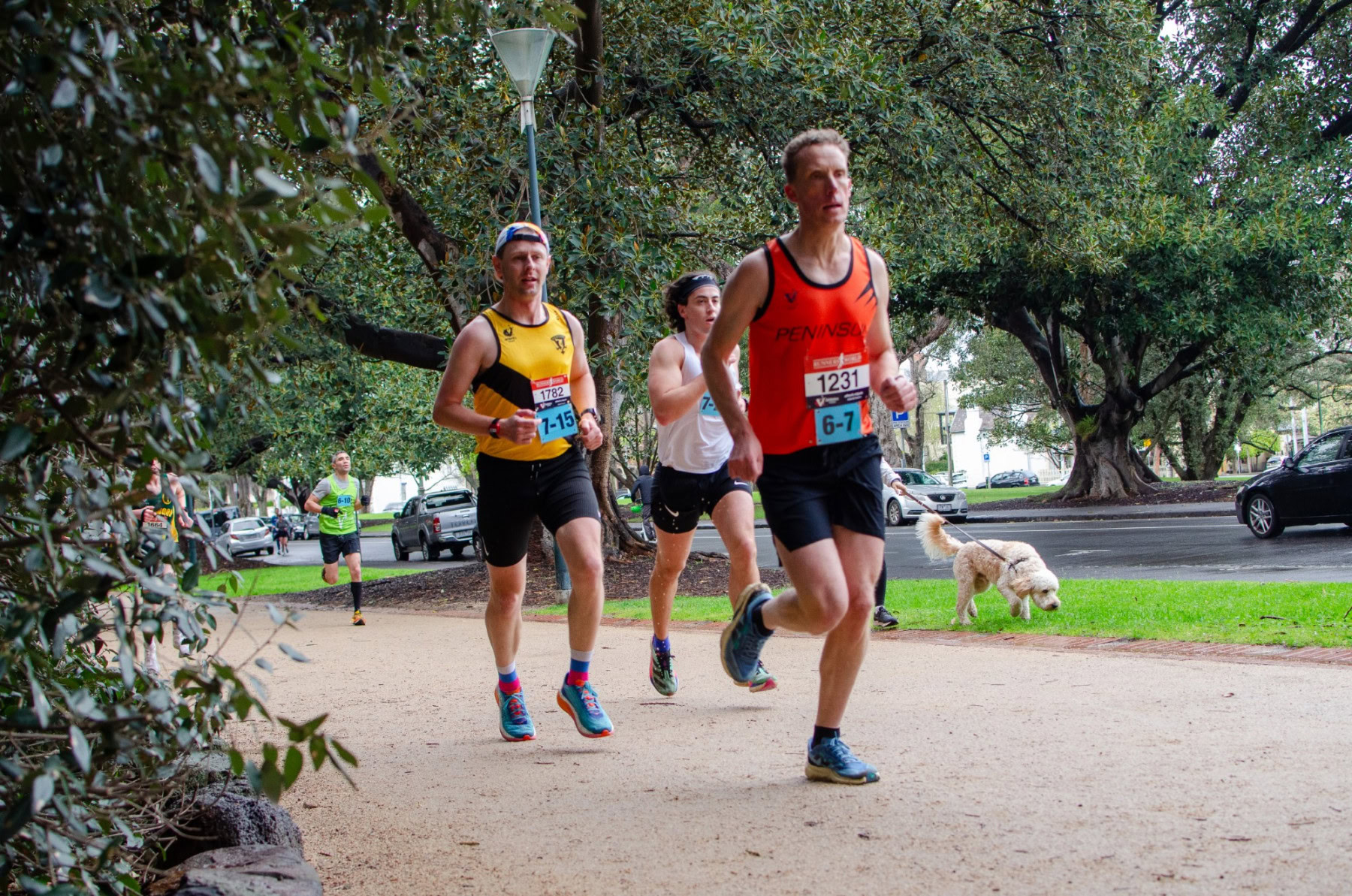 XCR Tan Relays 2024