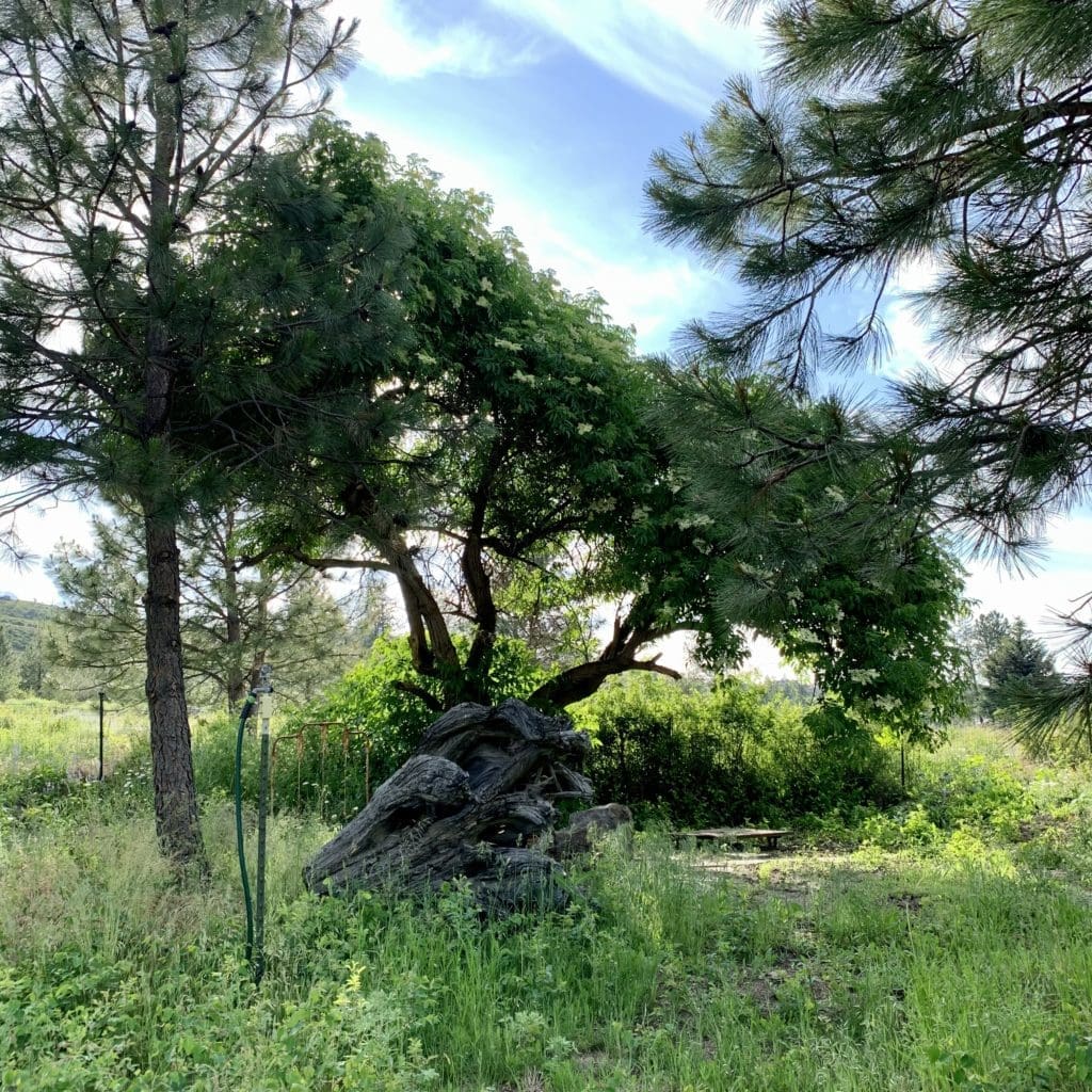 Kelly Tareski Photography Exterior 2022 19