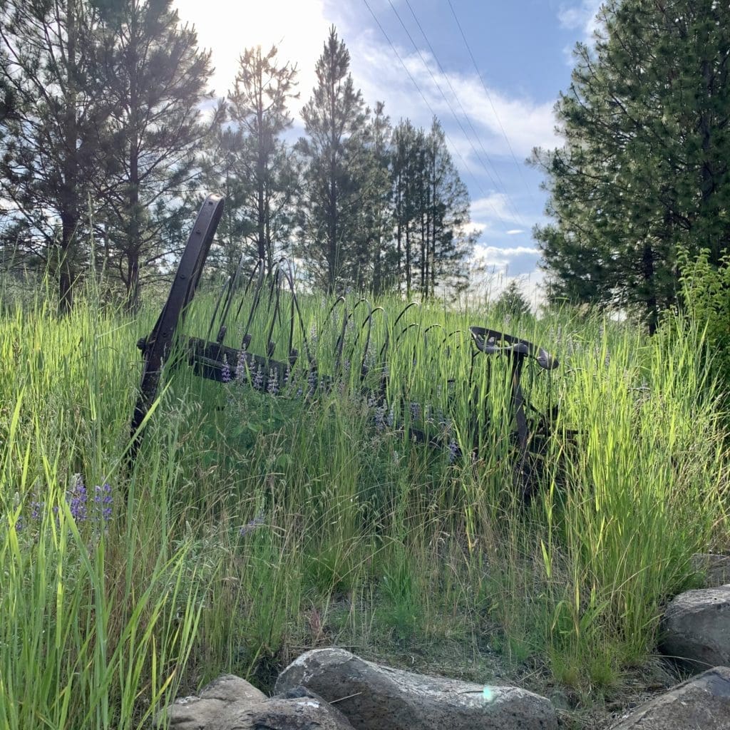 Spokane Photography Studios