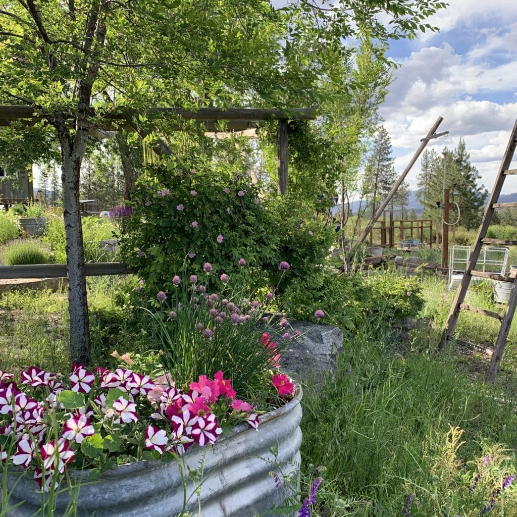 Spokane Photography Studios