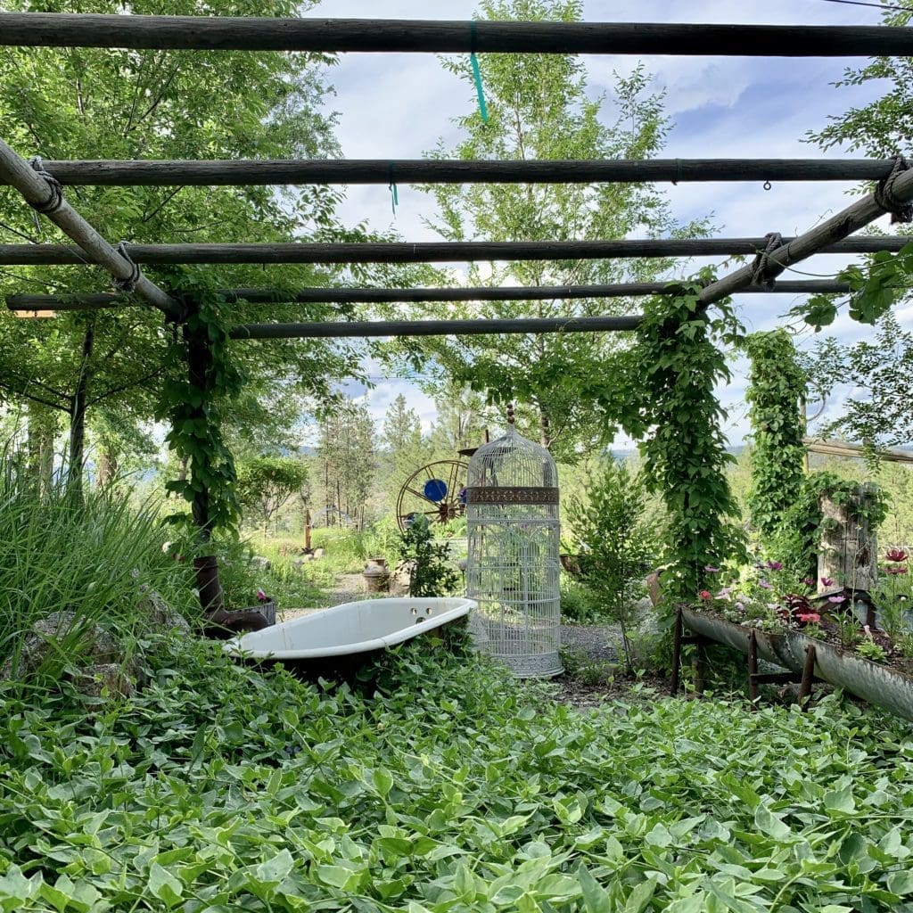 Portrait Photography in Spokane