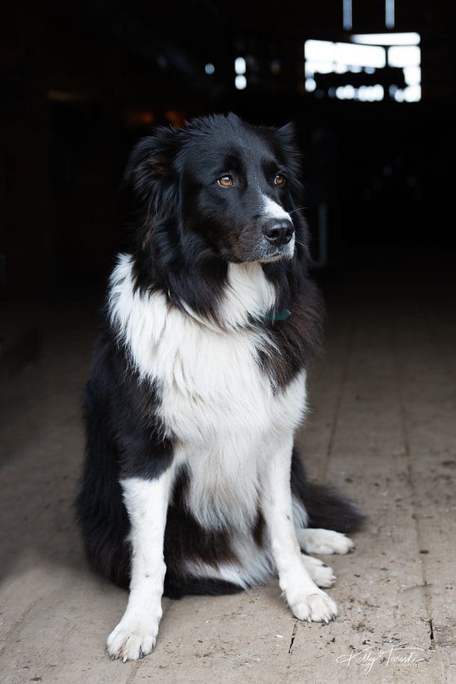 Kelly Tareski Photography - Branding - Bull Hill Guest Ranch 2022 12