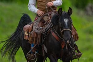 Top Ten Questions to ask a Professional Photographer