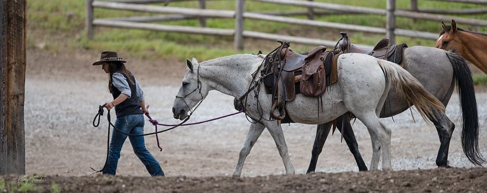 Professional Photographers Near Colbert Washington