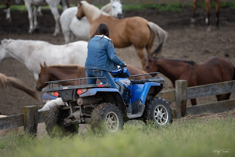 Why the Nikon Z-7ii is my Camera of Choice for Professional Photography