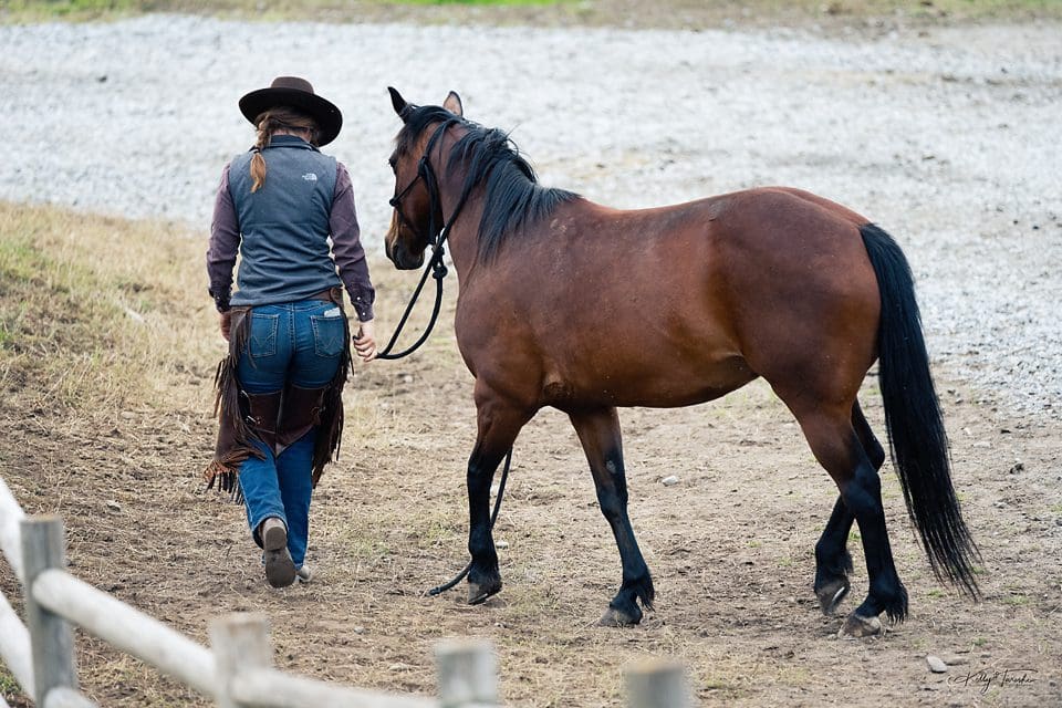 The Documentary Family Photography Style
