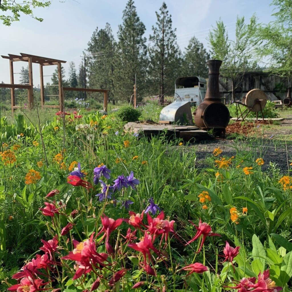 Outdoor Family Photography in Spokane Washington