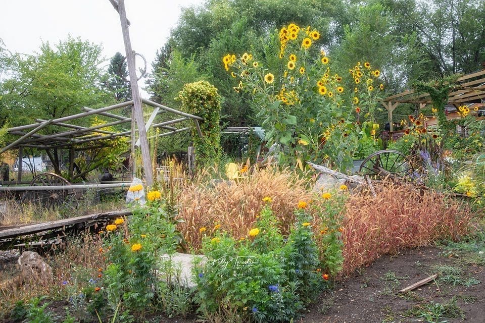 My Magical Retro-Themed Cabin Studio