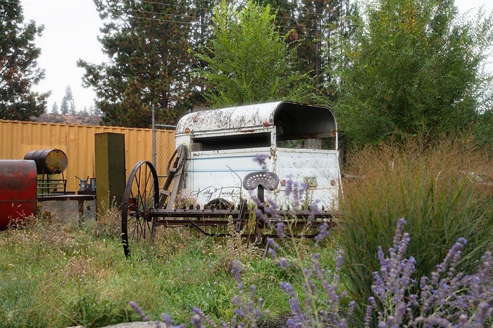 Professional Photographers Near Newport Washington