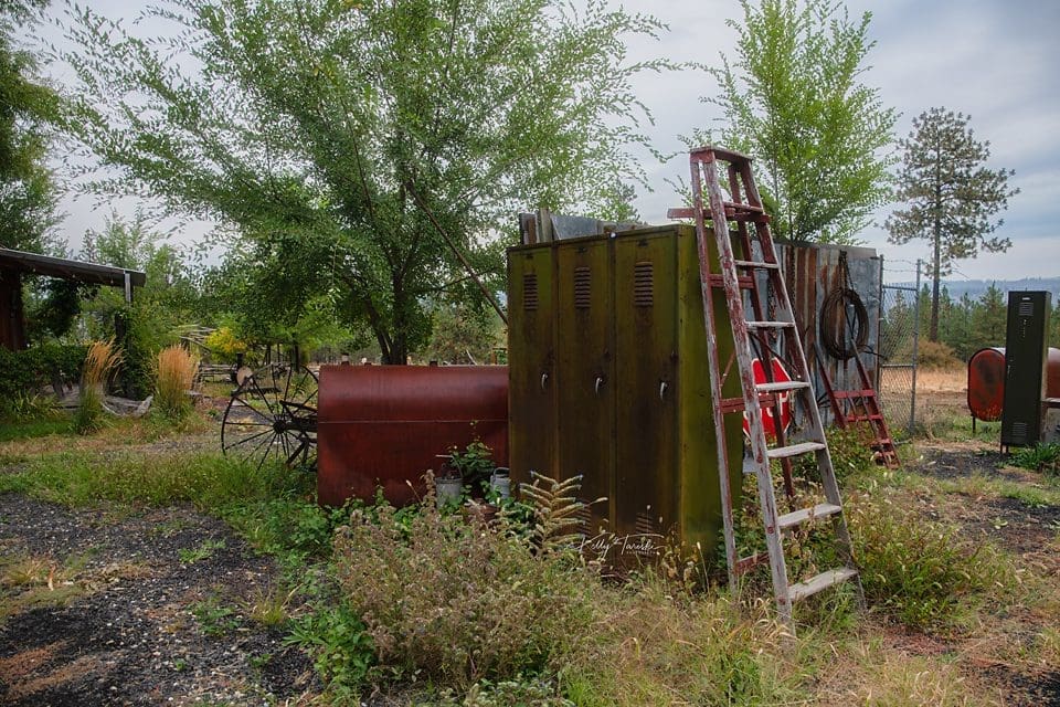 Professional Photographers Near Newport Washington