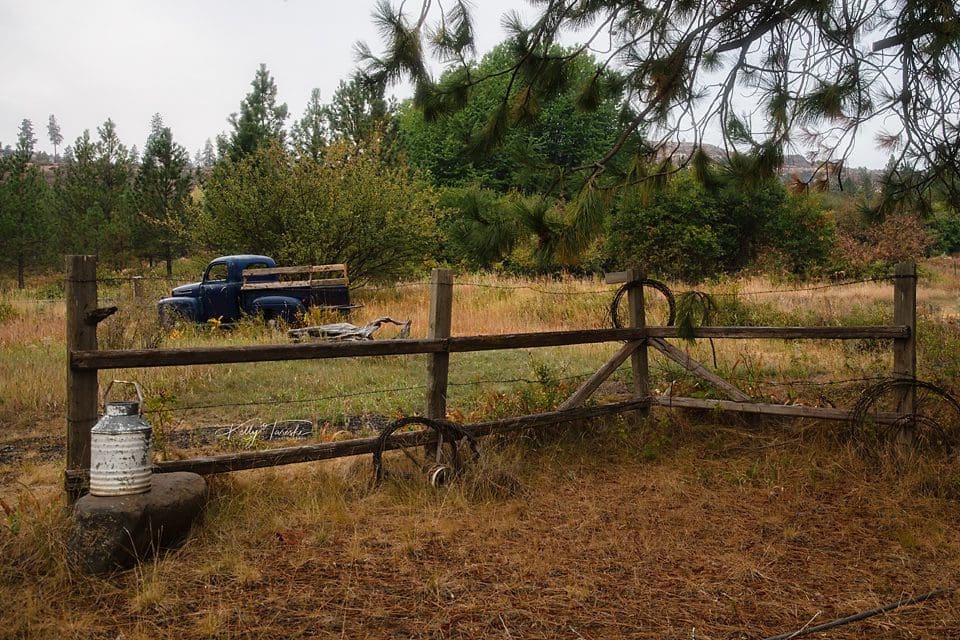 Professional Photographers Near Newport Washington