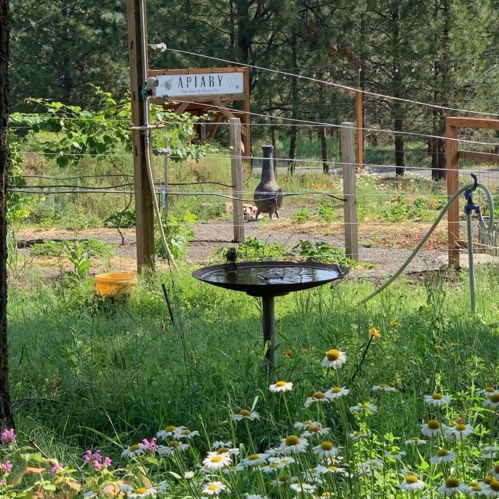 More Garden Venues at Kelly Tareski Photography 1