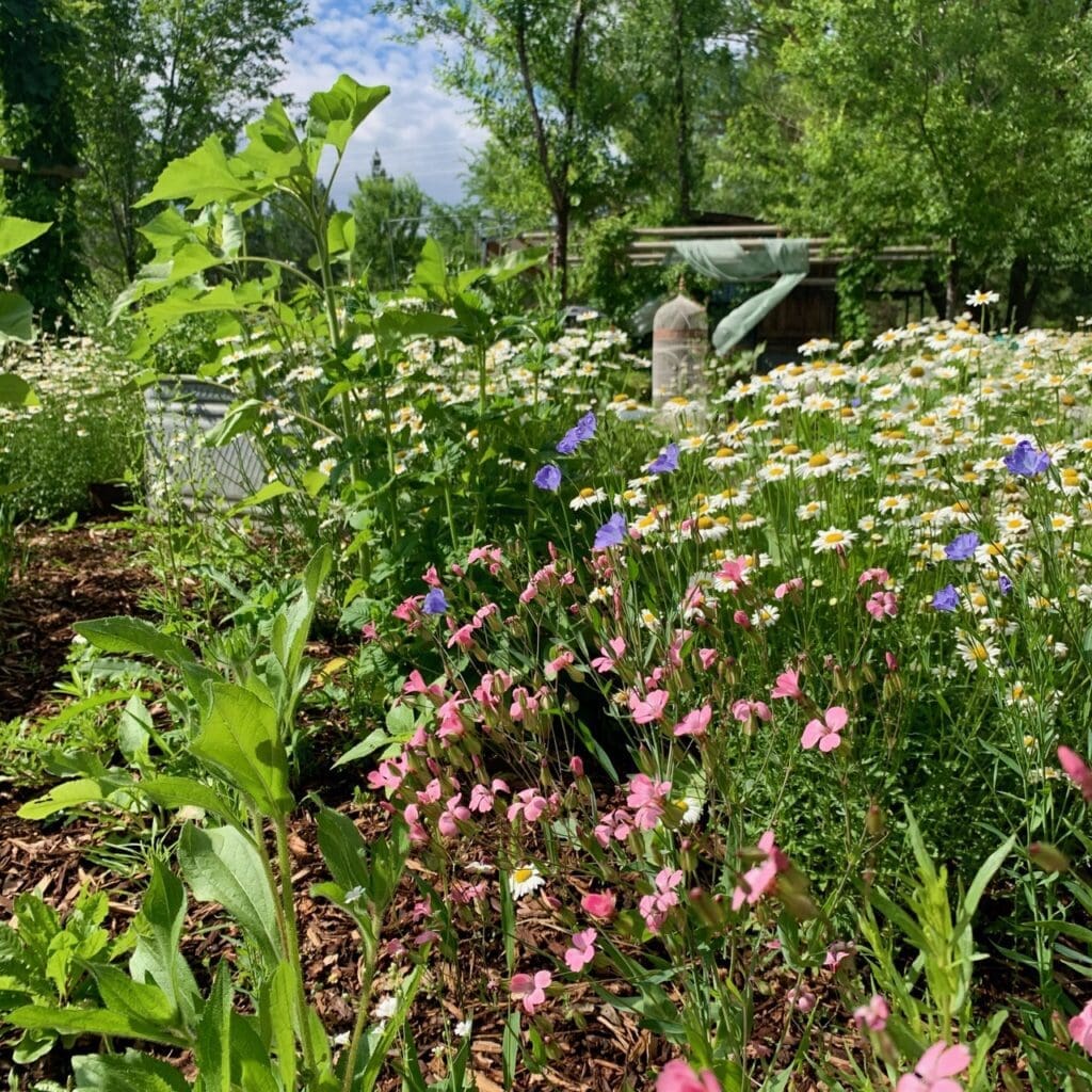 More Garden Venues at Kelly Tareski Photography 10