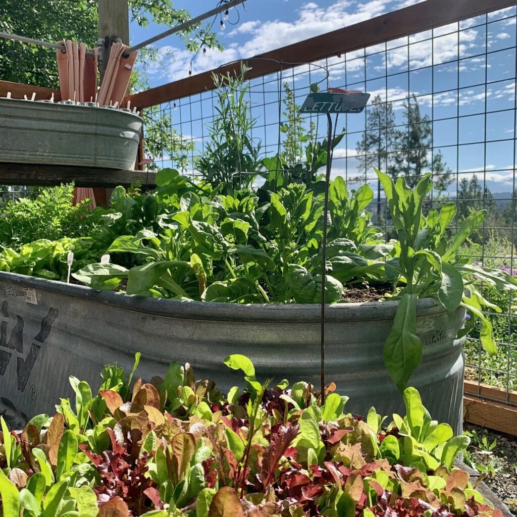 Outdoor Family Photography in Spokane Washington