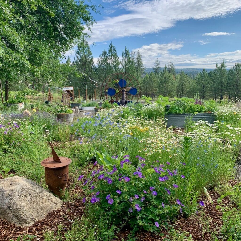 More Garden Venues at Kelly Tareski Photography 5