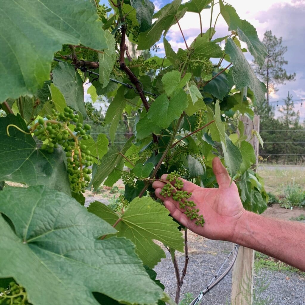 Outdoor Photo Venues Spokane