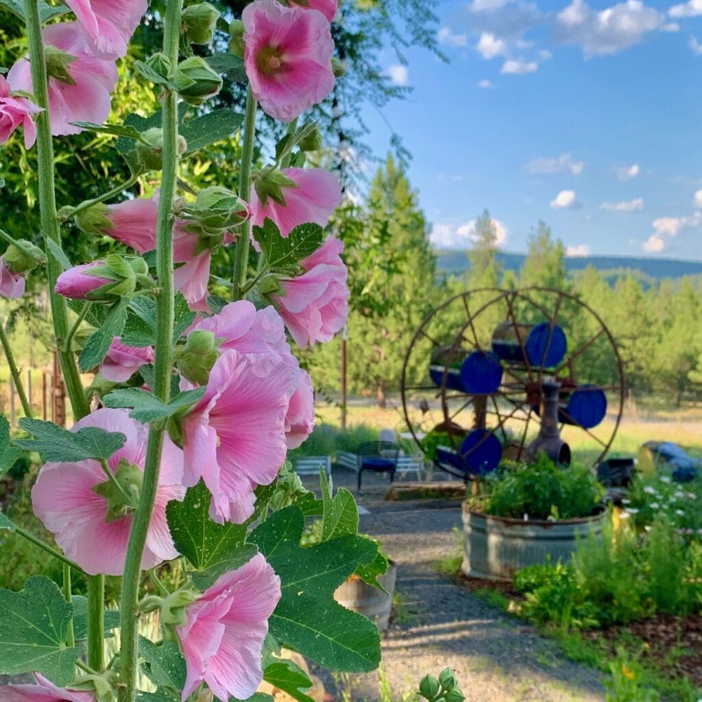 Outdoor Family Photography in Spokane Washington