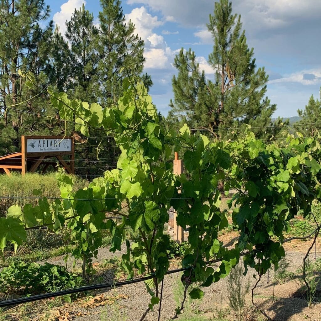 Outdoor Photo Venues Spokane