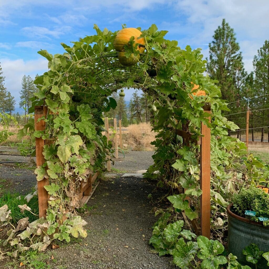 Five Tips for Gorgeous Outdoor Photos