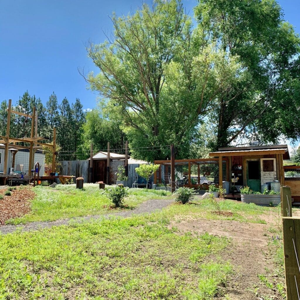 A Labor of Love-Building The Warehouse Door Garden Gate