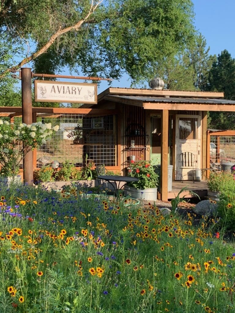 Why I Love My Garden Space for Portrait Photography