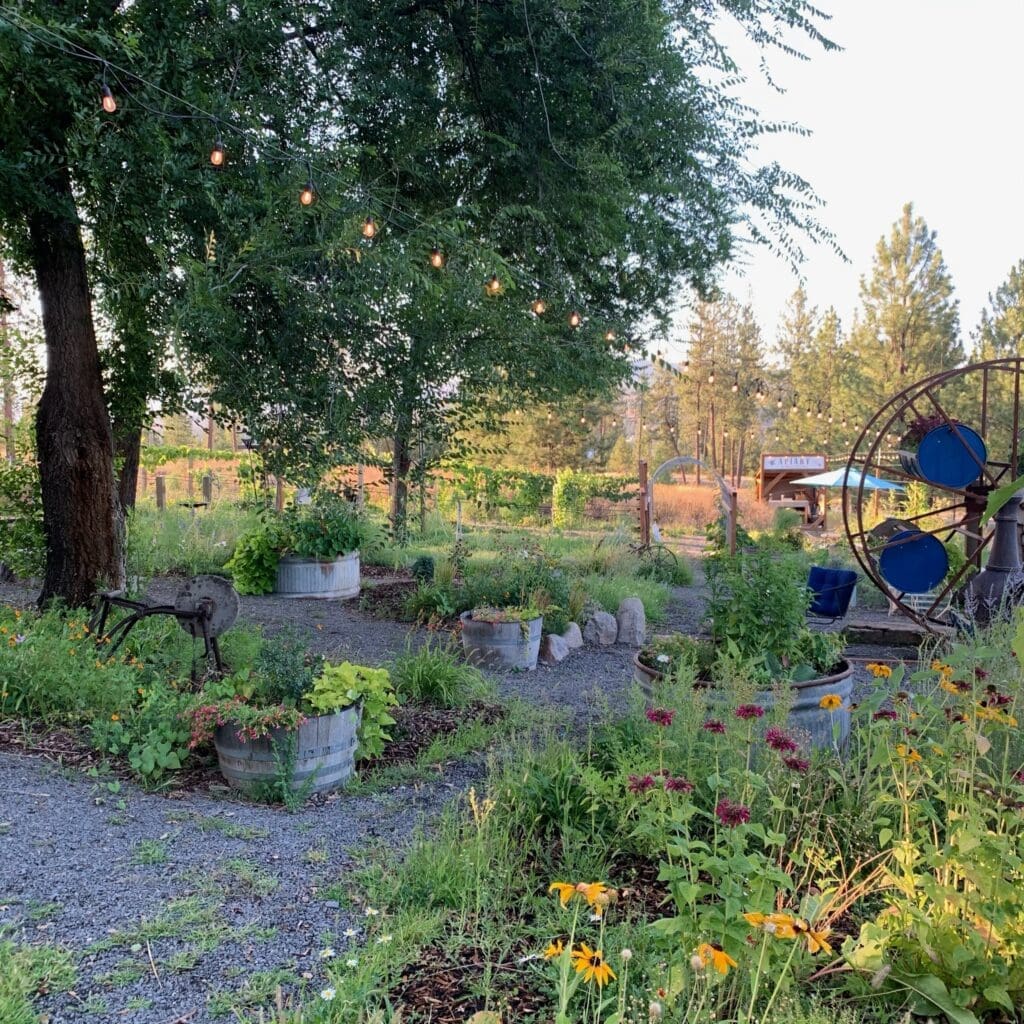 Why I Love My Garden Space for Portrait Photography