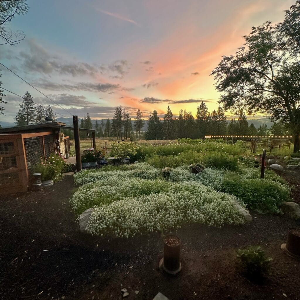 Photographer Near Me - Spokane Washington