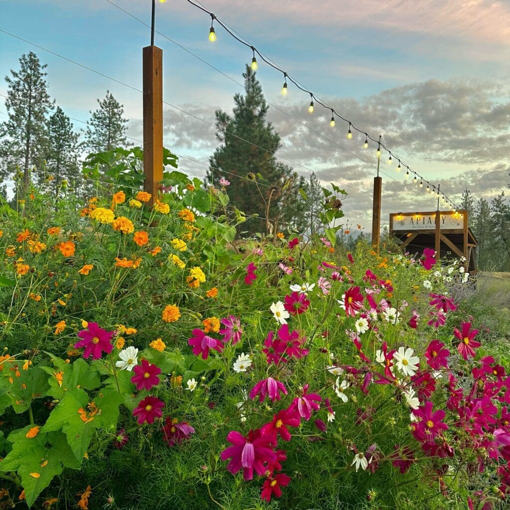 Photographers In North Spokane Washington