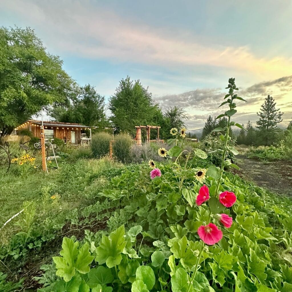 Photographers Near the Spokane Valley