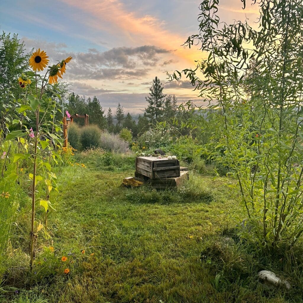 Photographers In North Spokane Washington