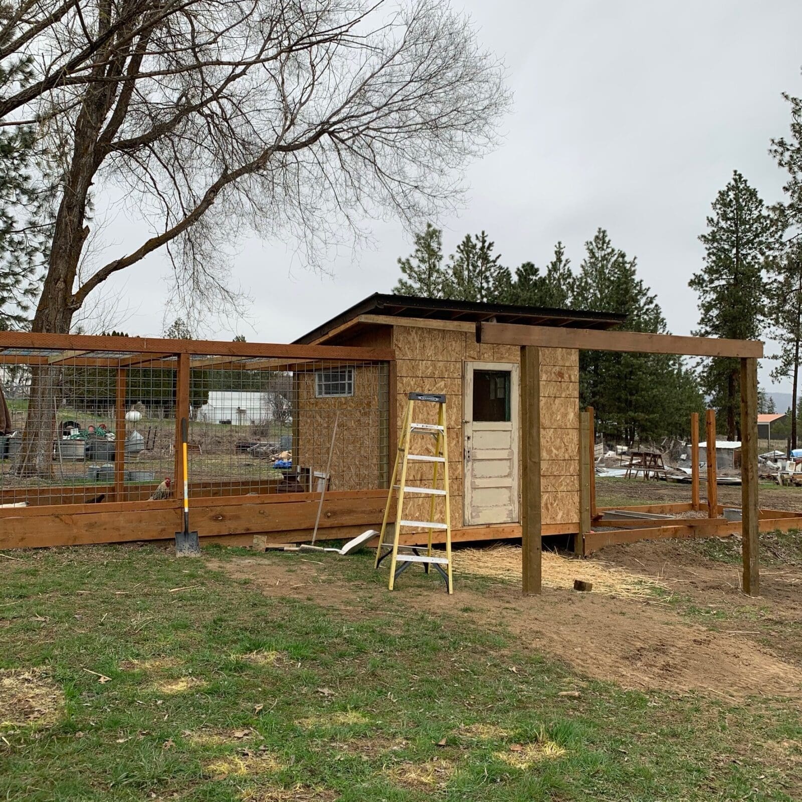 KTP Chicken Coop venue detail