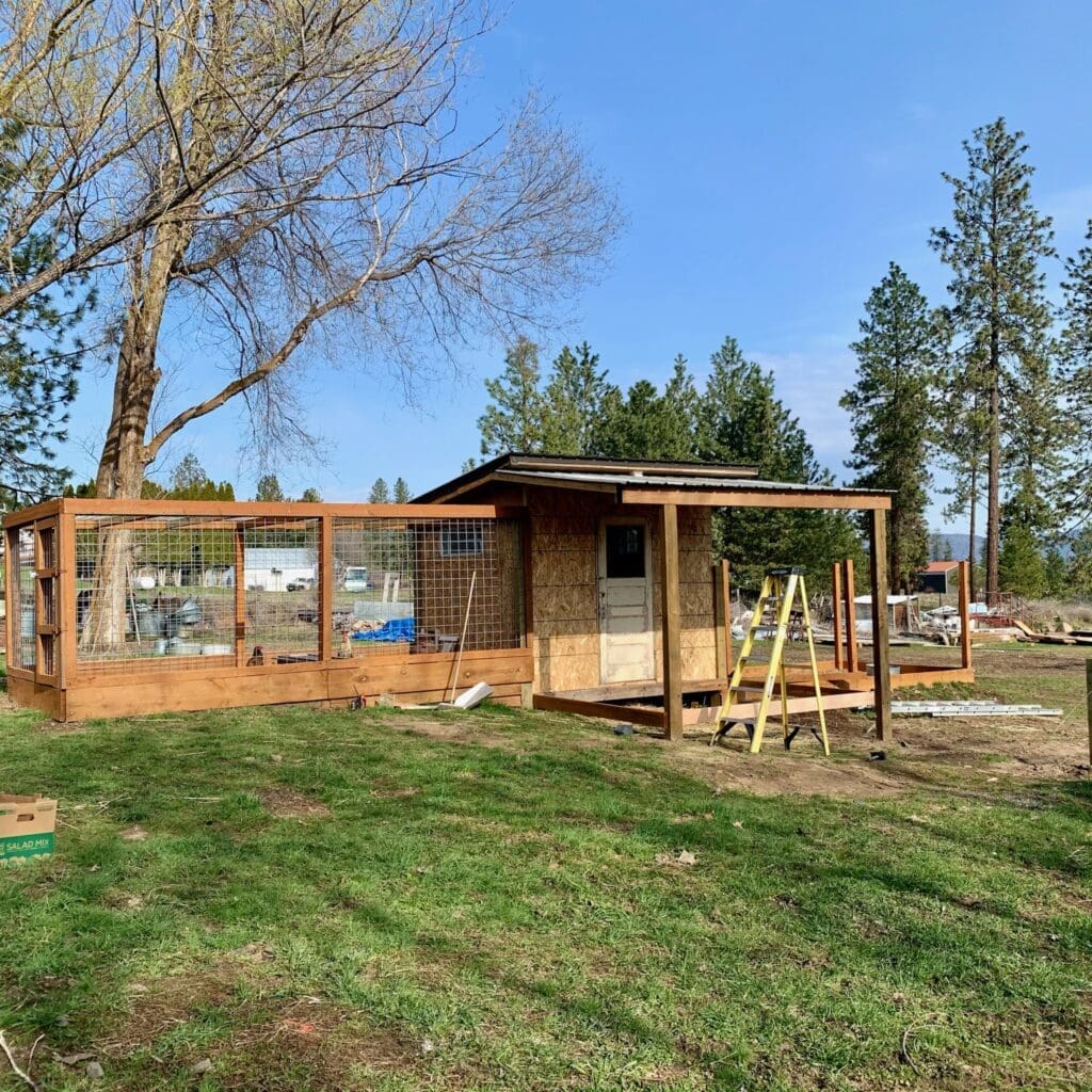 The Chicken Coop Venue at Kelly Tareski PhotographyThe Chicken Coop Venue at Kelly Tareski PhotographyThe Chicken Coop Venue at Kelly Tareski PhotographyThe Chicken Coop Venue at Kelly Tareski PhotographyThe Chicken Coop Venue at Kelly Tareski PhotographyThe Chicken Coop Venue at Kelly Tareski PhotographyThe Chicken Coop Venue at Kelly Tareski PhotographyThe Chicken Coop Venue at Kelly Tareski PhotographyThe Chicken Coop Venue at Kelly Tareski PhotographyThe Chicken Coop Venue at Kelly Tareski PhotographyThe Chicken Coop Venue at Kelly Tareski PhotographyThe Chicken Coop Venue at Kelly Tareski PhotographyThe Chicken Coop Venue at Kelly Tareski PhotographyThe Chicken Coop Venue at Kelly Tareski PhotographyThe Chicken Coop Venue at Kelly Tareski PhotographyThe Chicken Coop Venue at Kelly Tareski PhotographyThe Chicken Coop Venue at Kelly Tareski PhotographyThe Chicken Coop Venue at Kelly Tareski PhotographyThe Chicken Coop Venue at Kelly Tareski PhotographyThe Chicken Coop Venue at Kelly Tareski PhotographyThe Chicken Coop Venue at Kelly Tareski PhotographyThe Chicken Coop Venue at Kelly Tareski PhotographyThe Chicken Coop Venue at Kelly Tareski PhotographyThe Chicken Coop Venue at Kelly Tareski PhotographyThe Chicken Coop Venue at Kelly Tareski PhotographyThe Chicken Coop Venue at Kelly Tareski PhotographyThe Chicken Coop Venue at Kelly Tareski PhotographyThe Chicken Coop Venue at Kelly Tareski PhotographyThe Chicken Coop Venue at Kelly Tareski PhotographyThe Chicken Coop Venue at Kelly Tareski PhotographyThe Chicken Coop Venue at Kelly Tareski PhotographyThe Chicken Coop Venue at Kelly Tareski PhotographyThe Chicken Coop Venue at Kelly Tareski Photography