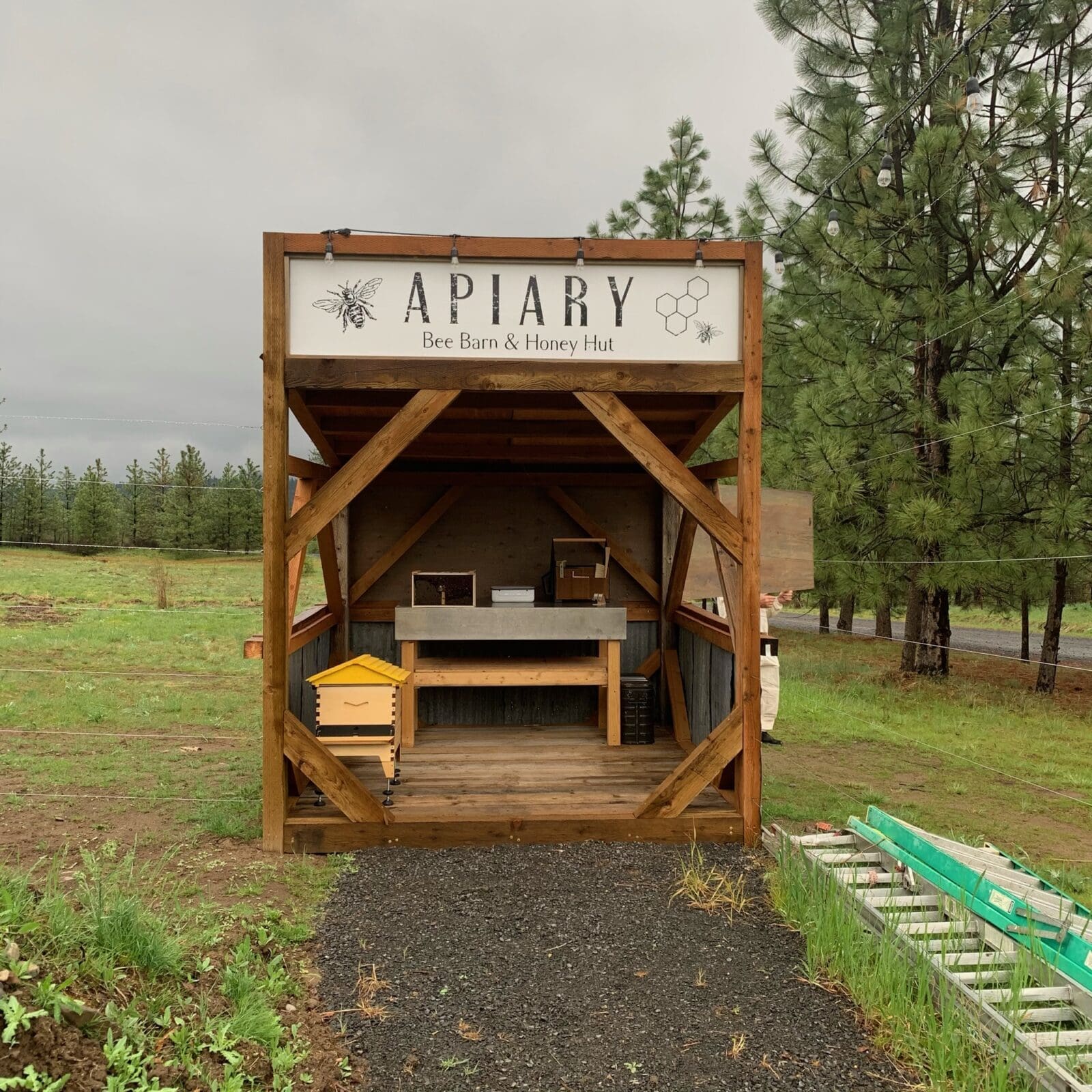 Apiary venue at Kelly Tareski Photography