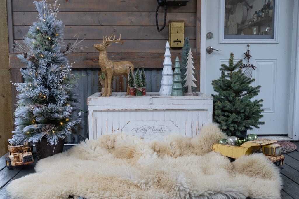 Christmas Photo Sessions Spokane
