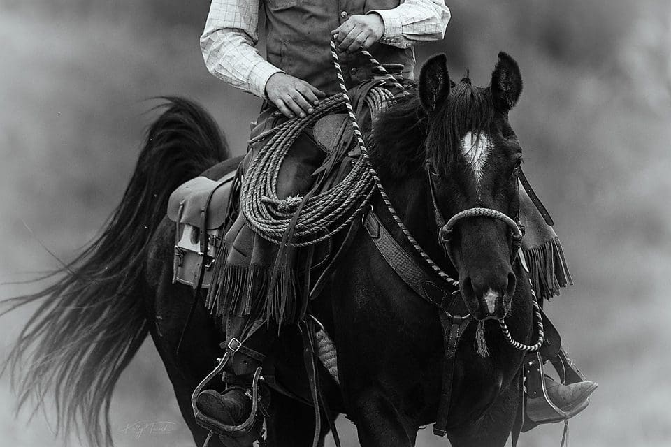 Using Photography to Tell Your Brand's Unique Story