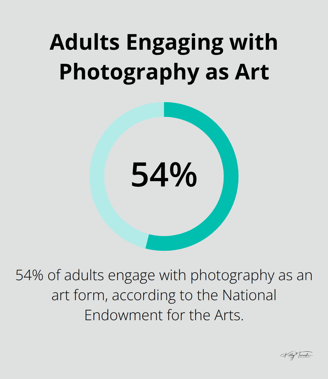 Pie chart showing 54% of adults engage with photography as an art form - Creative collaborations