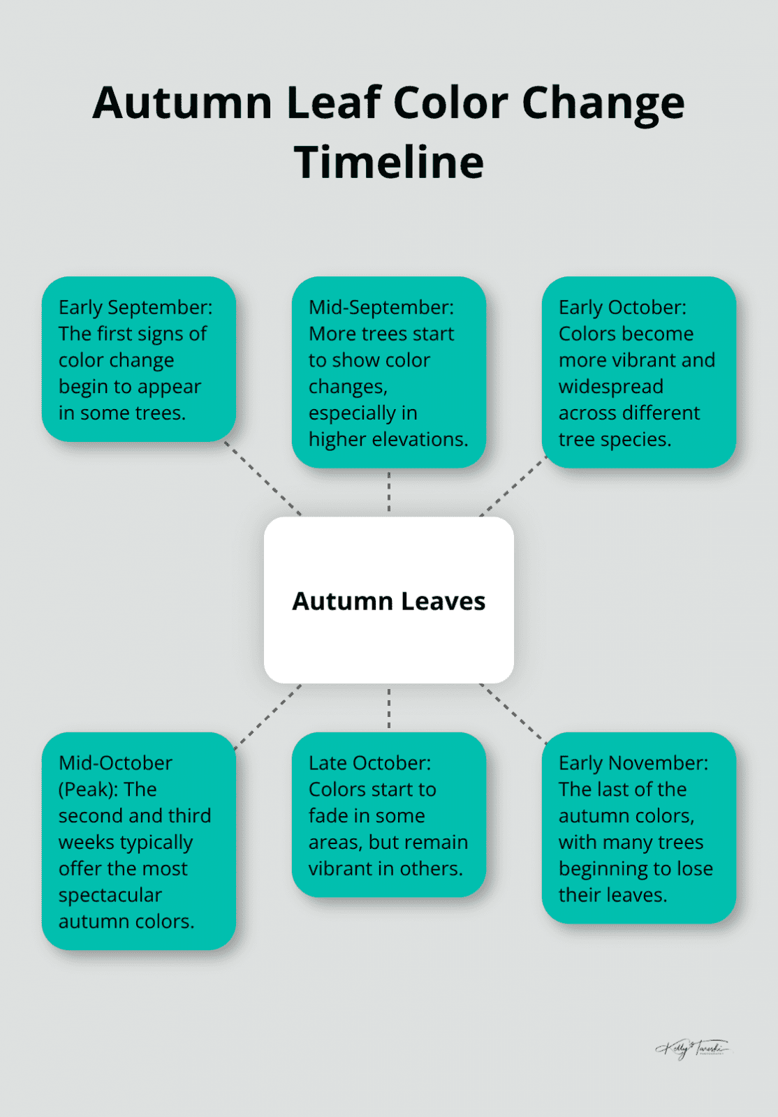 A hub and spoke chart showing the timeline of autumn leaf color changes from early September to early November, with mid-October as the peak period.