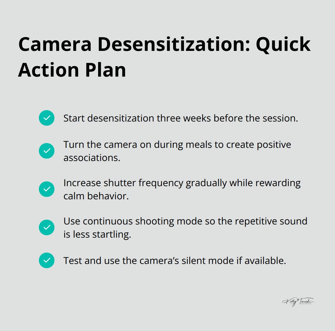 Checklist of steps to help dogs get comfortable with cameras before a family photo session. - family photos with dog