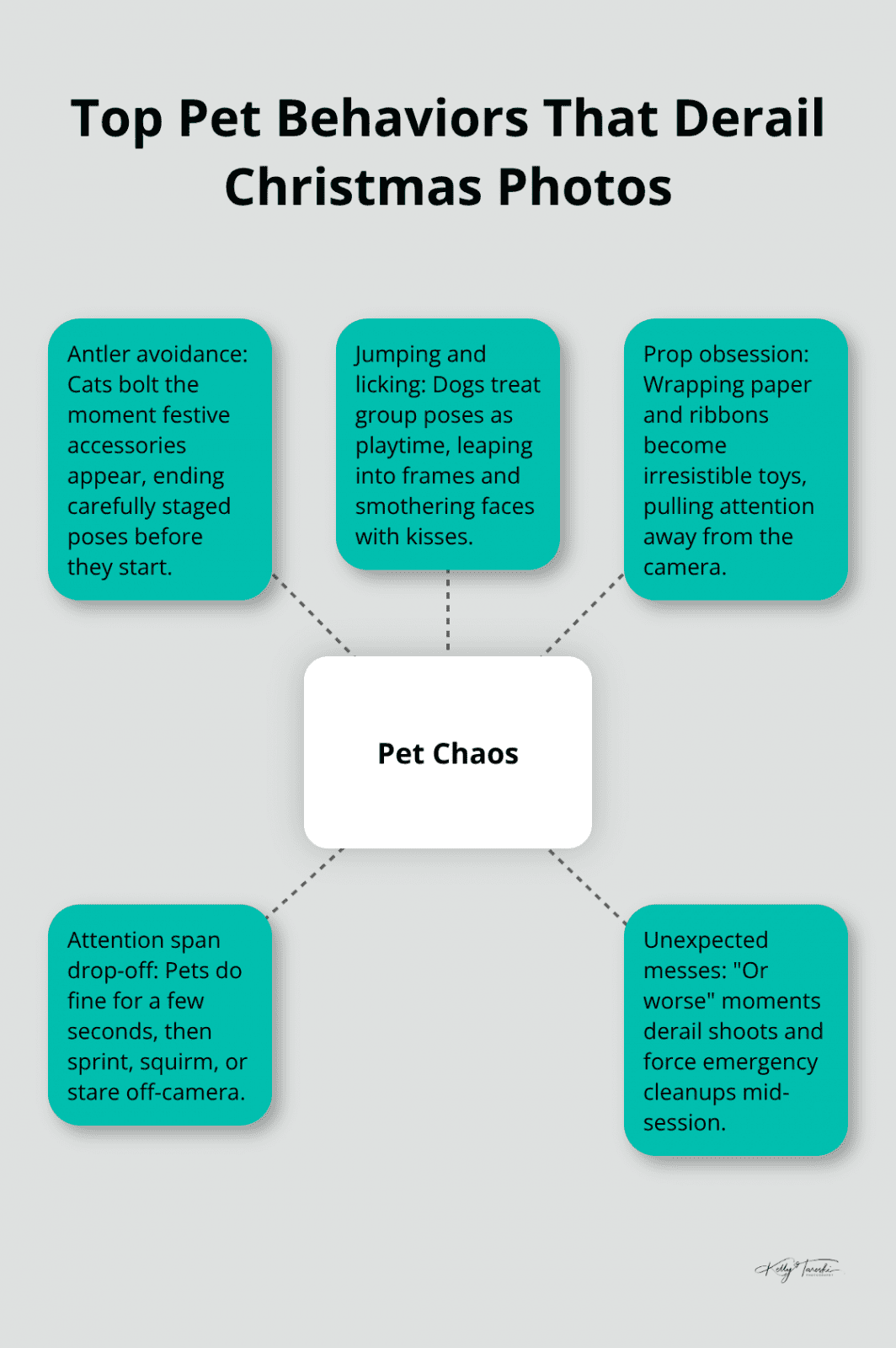 Infographic showing common pet behaviors that disrupt Christmas photo sessions. - hilarious christmas family photos
