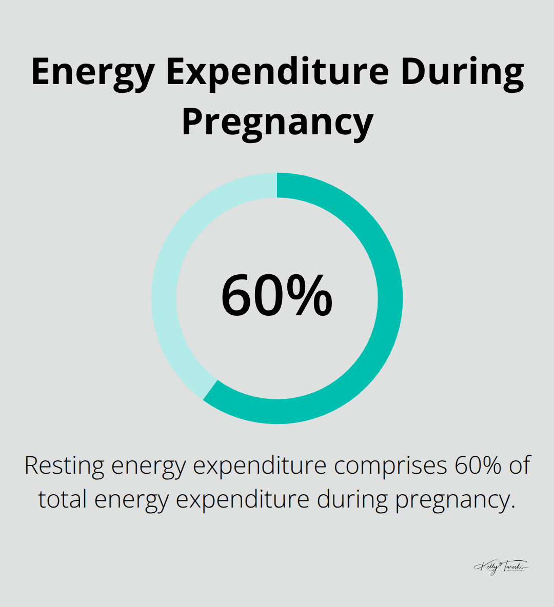 Chart showing that resting energy expenditure comprises 60% of total energy expenditure during pregnancy